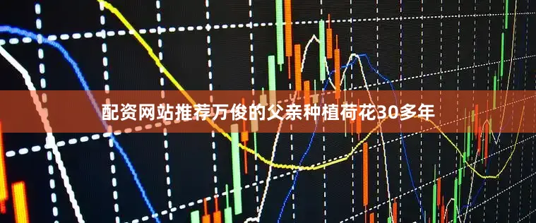 配资网站推荐万俊的父亲种植荷花30多年