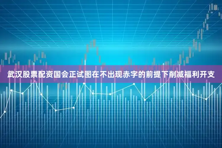 武汉股票配资国会正试图在不出现赤字的前提下削减福利开支