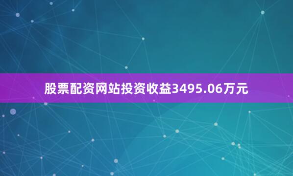 股票配资网站投资收益3495.06万元