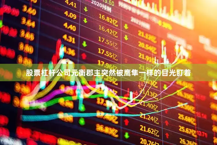 股票杠杆公司元衡郡主突然被鹰隼一样的目光盯着