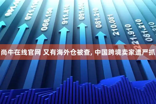 尚牛在线官网 又有海外仓被查, 中国跨境卖家遭严抓