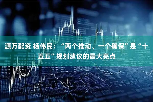源万配资 杨伟民：“两个推动、一个确保”是“十五五”规划建议的最大亮点