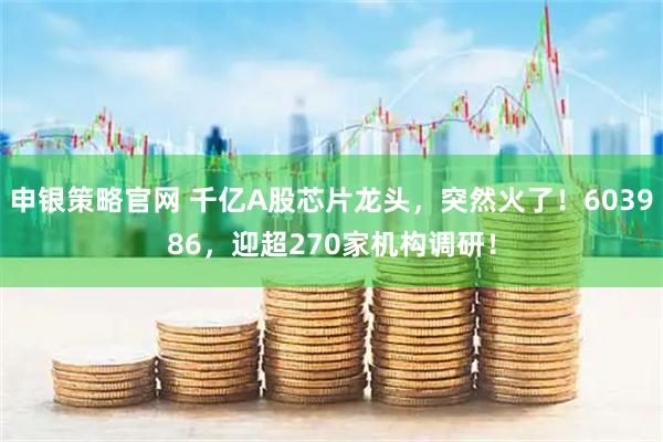 申银策略官网 千亿A股芯片龙头，突然火了！603986，迎超270家机构调研！