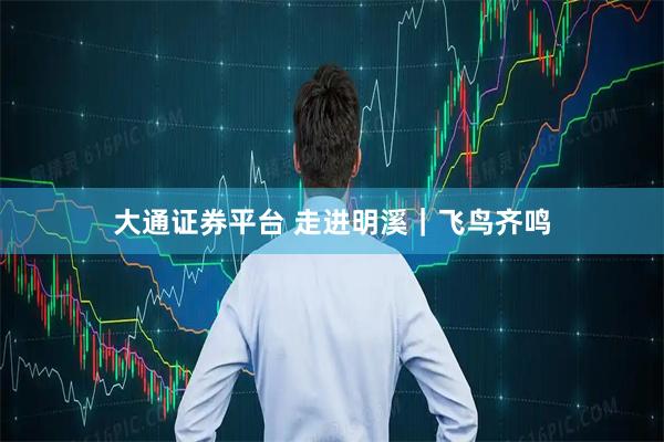 大通证券平台 走进明溪｜飞鸟齐鸣
